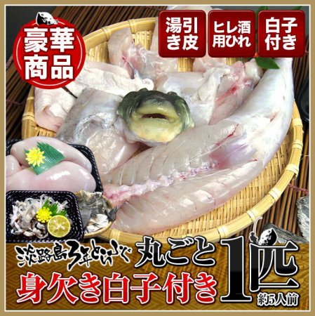 ３年とらふぐ 丸ごと1匹 身欠き白子付き (元魚1.3kg:大きくなりました )鍋5人前 淡路島３年とらふぐ 若男水産