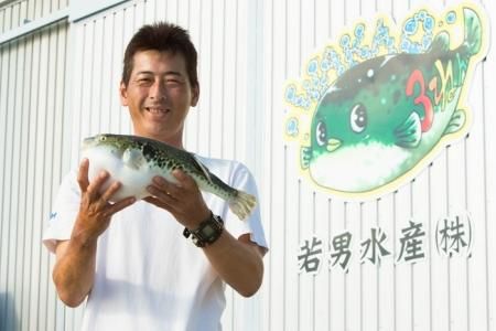 さんねんふぐ様 ご購入予定品 楽天市場】フグ刺し・ふぐ鍋を生産直売