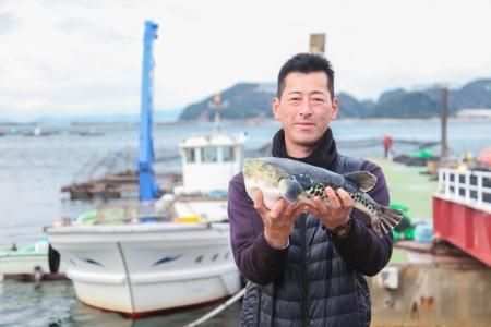冷凍) 月セット ふぐ鍋 ふぐ刺身 セット(2人前) 淡路島3年とらふぐ