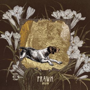 PRAWN/RUN(CD) - SENSELESS RECORDS