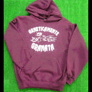 トリノ　ULTRAS　GRANATA　パーカー - FootBallShop RAGAZZI