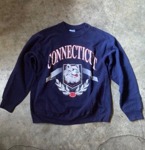 HANES CONNECTICUT å ᥭ (VINTAGE)