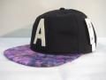 ALTAMONT 륿 Fungi Snapback Hat Black