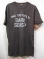 DARK SEAS  WTF OLD TIME TEE ͥ GRAPHITE