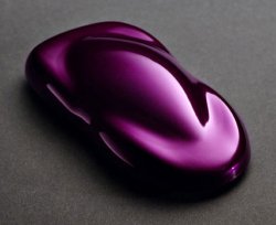 パープル PURPLE ハウスオブカラー キャンディー KK10