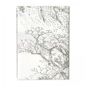 ֥åС šֵ̾Ƿ ŷι