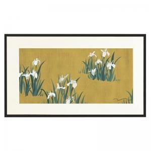 ǲ(³)  ʡKakitsubata.w