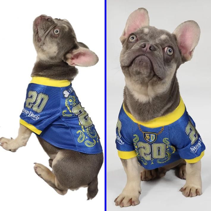 SNOOP DOGGIE DOGGS / DELUXE PET JERSEY