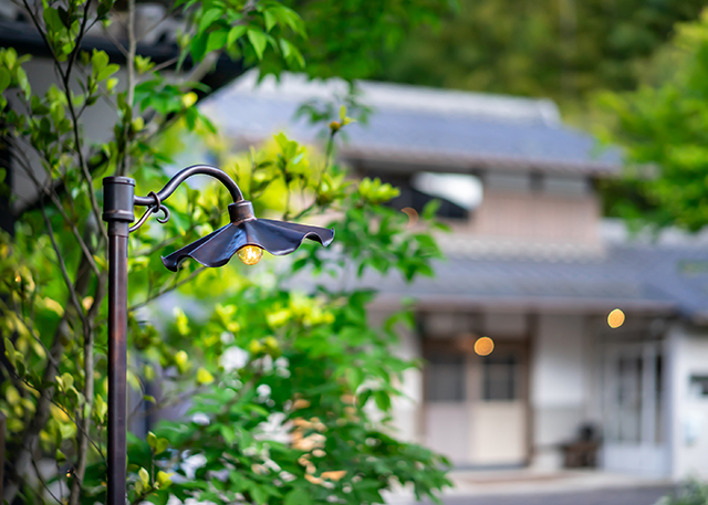 <img class='new_mark_img1' src='https://img.shop-pro.jp/img/new/icons14.gif' style='border:none;display:inline;margin:0px;padding:0px;width:auto;' />ͥﳰϩ