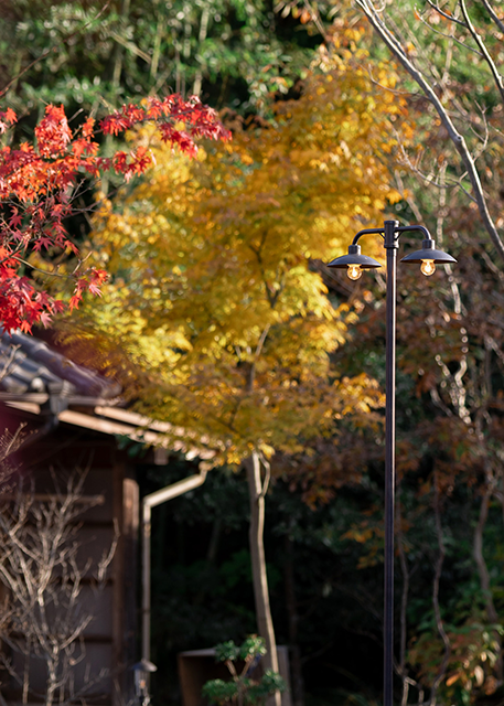 <img class='new_mark_img1' src='https://img.shop-pro.jp/img/new/icons14.gif' style='border:none;display:inline;margin:0px;padding:0px;width:auto;' />г޴ϩ
