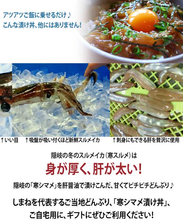 寒シマメ肝醤油漬け丼10食分セット【隠岐ふるさと海士】-ぢげもん