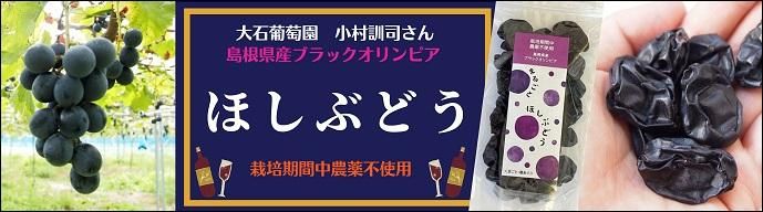 ƺΥ֥åԥȤäޤߤäȵͤޤäγΡ֤֤ۤɤ