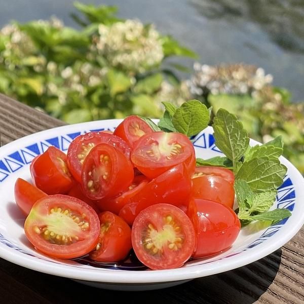 えごま油 生搾り100ml【川本町・川本エゴマの会】 -しまねのぢげもん