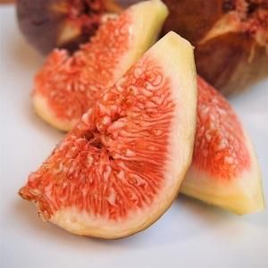 多伎いちじく 蓬莱柿 約300g 4パック専用箱入 出雲市 タキファーム 多伎いちじく 蓬莱柿 約300g 4パック専用箱入 出雲市 タキファーム