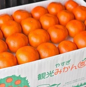 やすぎのみかん5kg 贈答用箱入り 安来市 やすぎ観光みかん園 島根のいいものを厳選 しまねのぢげもん