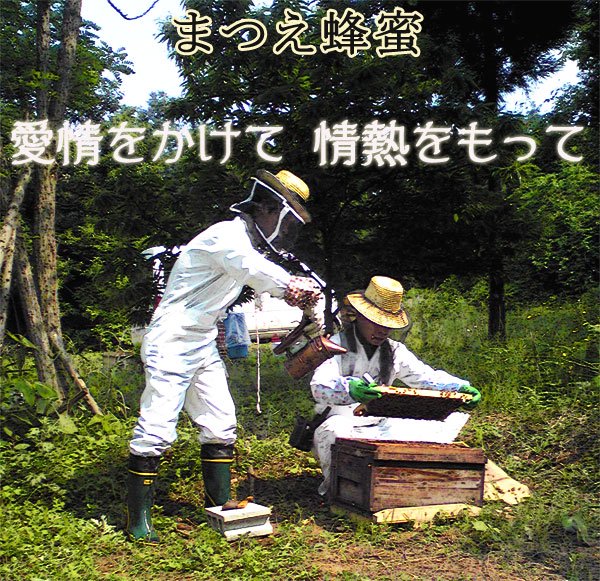 長崎さんとミツバチ