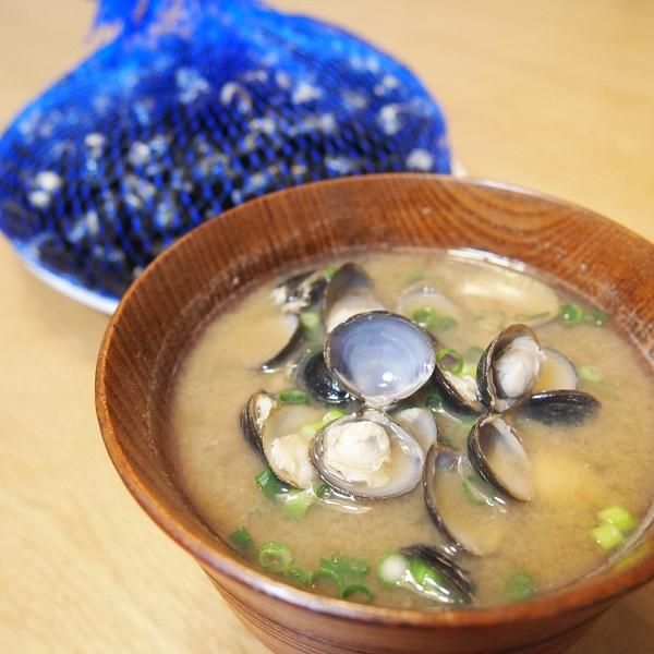 希少な特大サイズ＞宍道湖産大和しじみ（ヤマトシジミ）LL