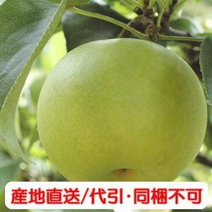 二十世紀梨3lサイズ7 5kg 21玉 減農薬除草剤不使用 安来市小枝稔 二十世紀梨3lサイズ7 5kg 21玉 減農薬除草剤不使用 安来市小枝稔