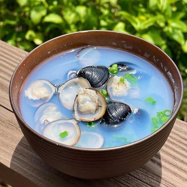 海外輸入 インボイス 希少な特大サイズ＞宍道湖産大和しじみ（ヤマトシジミ）LL 工芸品