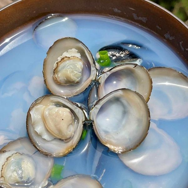 冷凍＞宍道湖産大和しじみ（ヤマトシジミ）LLサイズ・2kg（砂