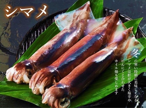 海士のおつまみセット-島根の特産品を厳選通販-しまねのぢげもん