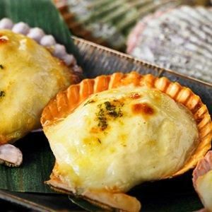 ひおうぎ貝のドリア7個セット（カラフルな貝殻ミニドリア）【隠岐海士