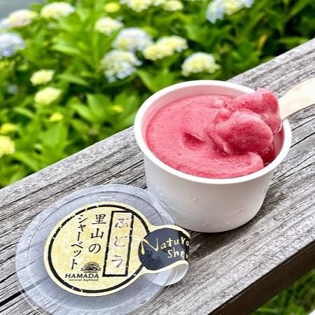 アイス 里山のアイス6個セット（6種×各1個）【浜田市・みずすまし】