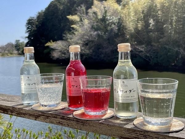 大田のしそ（紫蘇）サイダー200ml-島根の特産品を通販ぢげもん