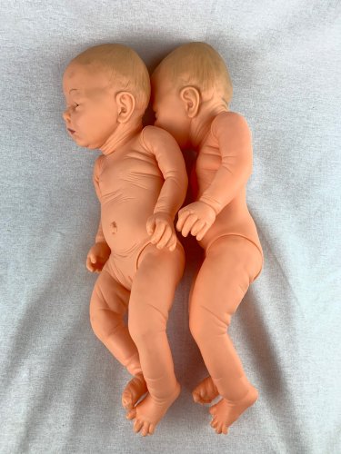 新生児 ケアモデル/男・女児（赤ちゃん）模型（約 50㎝/ 690g）ペア2体 - アジアエスプリ