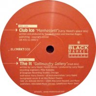 THE IT_CLUB ICE / GALLIMAUFRY GALLERY_MANHASSETT