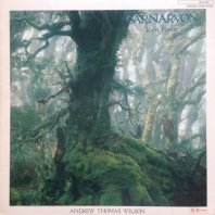 ANDREW THOMAS WILSON / CARNARVON RAIN FOREST