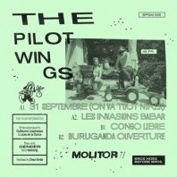 THE PILOTWINGS / MOLITOR 71