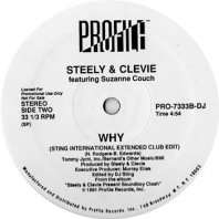 STEELY & CLEVIE FEATURING SUZANNE COUCH / WHY
