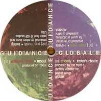 V.A. / GLOBAL GUIDANCE PART TWO
