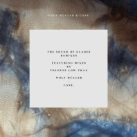 WOLF MULLER & CASS. / THE SOUND OF GLADES REMIXES