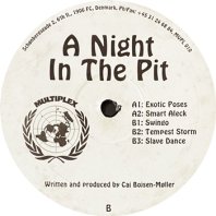CAI BOJSEN-M&#216;LLER / A NIGHT IN THE PIT