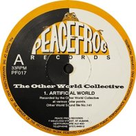 THE OTHER WORLD COLLECTIVE / ARTIFICIAL WORLD