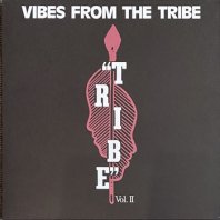 VARIOUS / VIBES FROM THE TRIBE VOL. II
