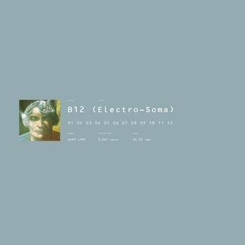 B12 (Electro-Soma) レコード B12 / ELECTRO-SOMA - New & Used Online Records Shop