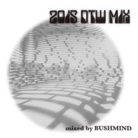 BUSHMIND / 2015 DTW MIX - LOS APSON? Online Shop