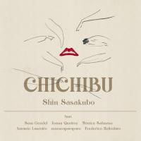 Shin Sasakubo - Chichibu (LP) – Meditations