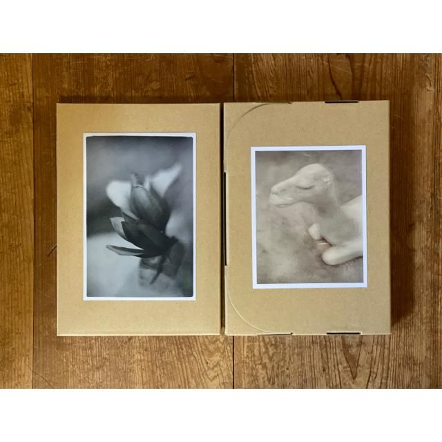 頭士奈生樹 / For My Friends' Sleep (CD盤＋カセット) - LOS