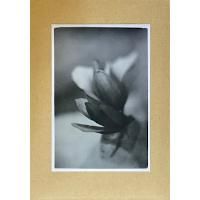 sleepyhead  CD DVD 本セット 15096c06dda6d5812b8907c429e55a