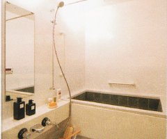 角閃石（かくせんせき）利用浴槽｜花巻市高齢者向けマンション