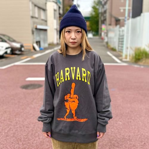 <img class='new_mark_img1' src='https://img.shop-pro.jp/img/new/icons5.gif' style='border:none;display:inline;margin:0px;padding:0px;width:auto;' />MAD MOUSE COMIC_[CREW SWEAT SHIRTS]HARVARD