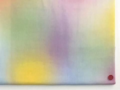 ڥץͽۥ֥륬 RAINBOW