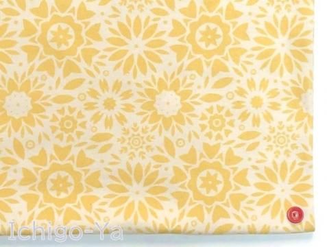 40ޥࡼ ӥ塼 ե롼 ϥˡ