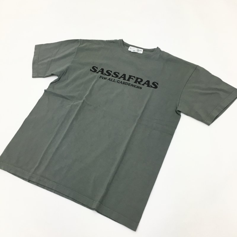  SASSAFRAS SASSAFRAS T 1/2(OLIVE)