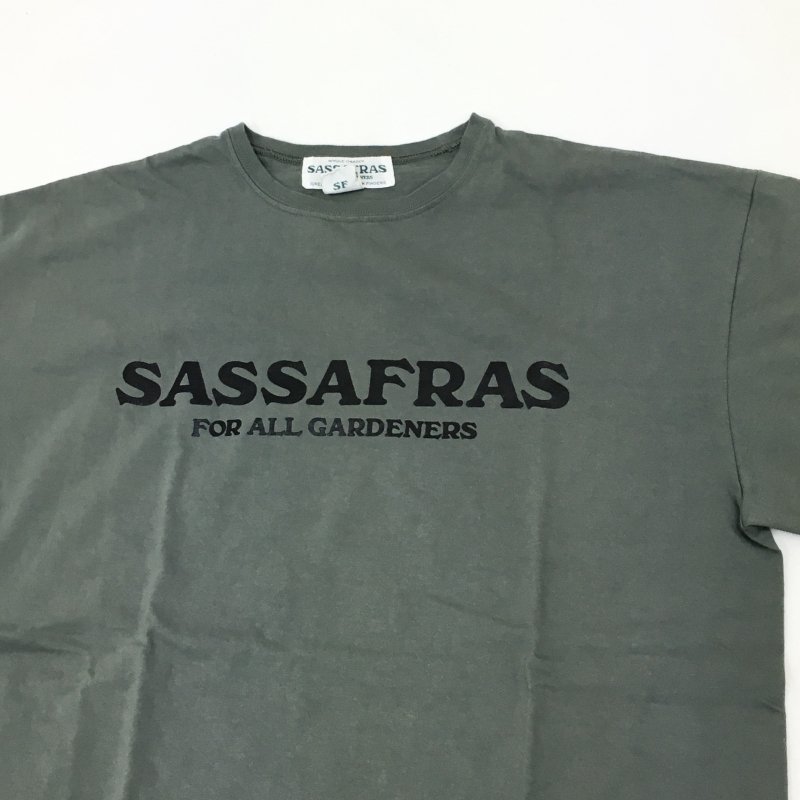  SASSAFRAS SASSAFRAS T 1/2(OLIVE)