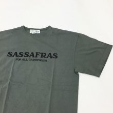  SASSAFRAS SASSAFRAS T 1/2(OLIVE)